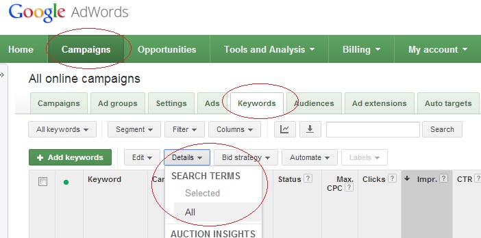 AdWords Search Query Report